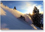 snowboarding travel insurance